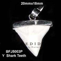 Horn Bone Natural Pendant