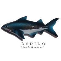 Refrigerator Magnet Fridg Magnet Sea Animals Shells