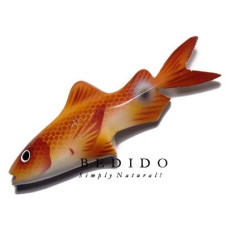 Refrigerator Magnet Fridg Magnet Sea Animals Shells