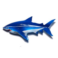 Refrigerator Magnet Fridg Magnet Sea Animals Shells