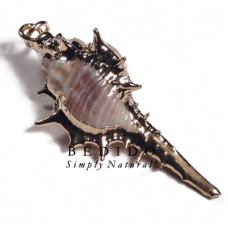Koriosos family shell molten gold metal jewelry