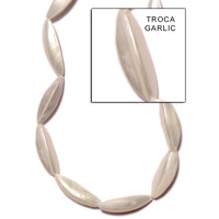 Natural Shell Beads