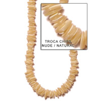 Natural Shell Beads
