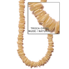 Natural Shell Beads