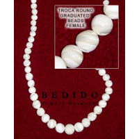 Natural Shell Beads