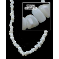 Natural Shell Beads