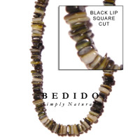 Natural Shell Beads