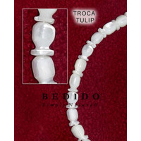 Natural Shell Beads