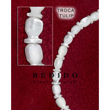 Natural Shell Beads