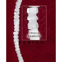 Natural Shell Beads