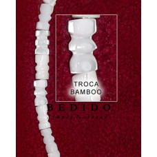 Natural Shell Beads