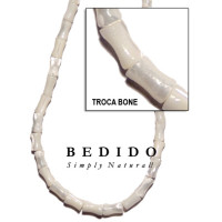 Natural Shell Beads