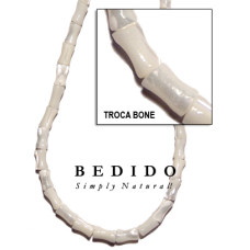 Natural Shell Beads