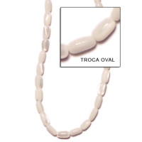 Natural Shell Beads