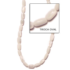 Natural Shell Beads