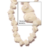 Natural Shell Beads