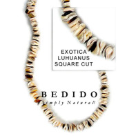 Natural Shell Beads