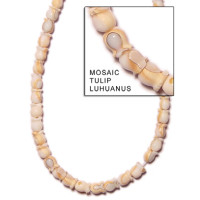 Natural Shell Beads