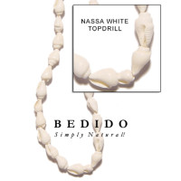Natural Shell Beads
