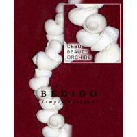 Natural Shell Beads
