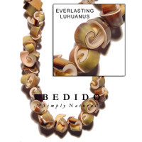 Natural Shell Beads