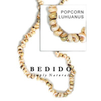 Natural Shell Beads