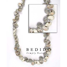 Natural Shell Beads