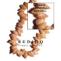 Natural Shell Beads
