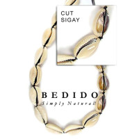 Natural Shell Beads