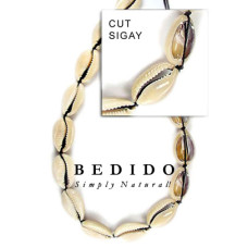 Natural Shell Beads