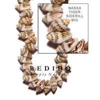 Natural Shell Beads
