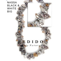 Natural Shell Beads