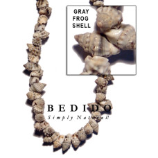 Natural Shell Beads