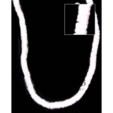 Natural White Shell Beads Necklace