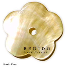Natural Shell Pendant