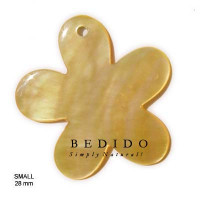 Natural Shell Pendant