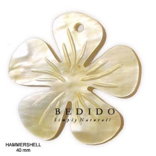 Natural Shell Pendant