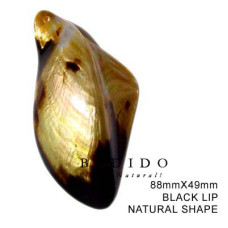 Natural Shell Pendant