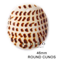 Natural Shell Pendant