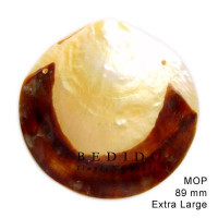 Natural Shell Pendant