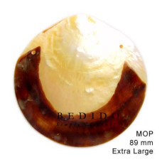 Natural Shell Pendant