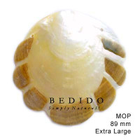 Natural Shell Pendant