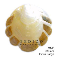 Natural Shell Pendant