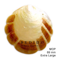 Natural Shell Pendant