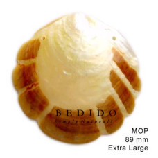 Natural Shell Pendant