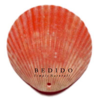 Natural Shell Pendant