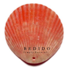 Natural Shell Pendant