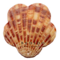 Natural Shell Pendant