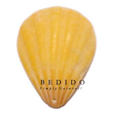 Natural Shell Pendant
