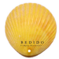 Natural Shell Pendant